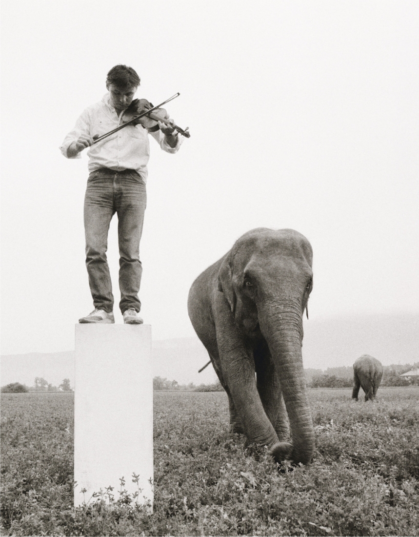 When Elephants were rehearsing Nordic disciplines in my hometown, 1983