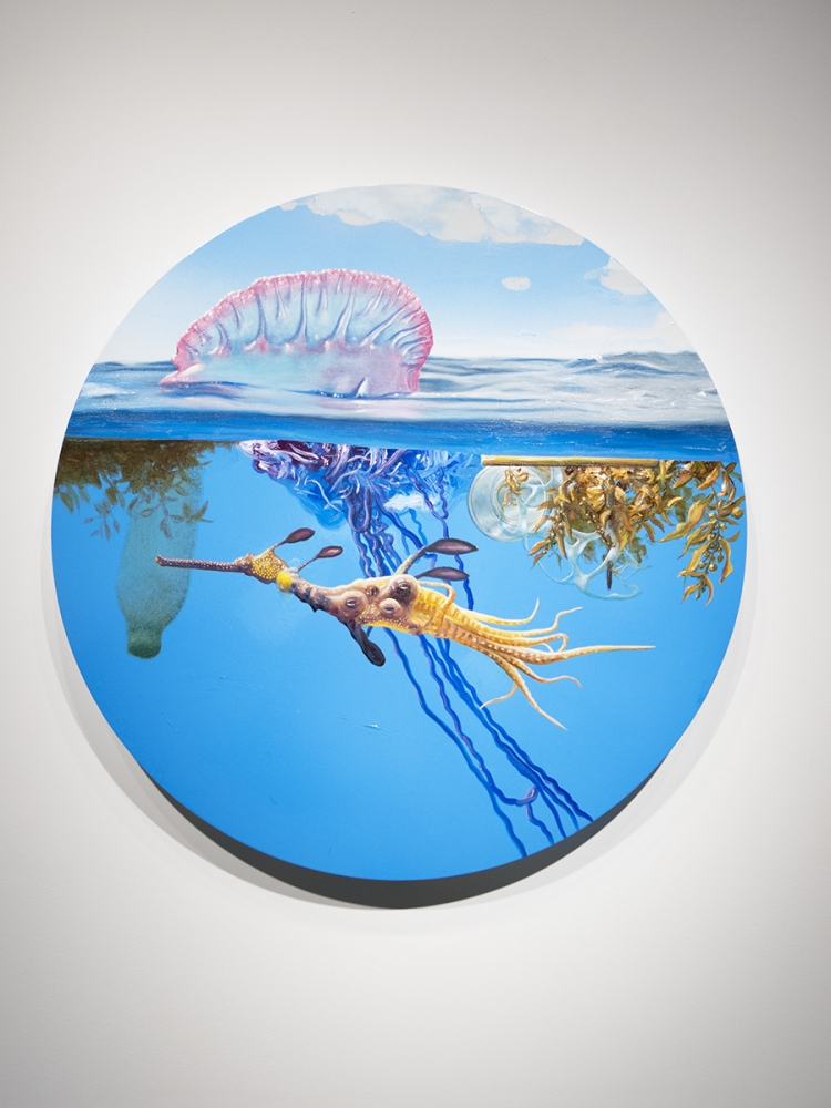 Alexis Rockman
Flotsam, 2013
oil and alkyd on wood
30 inches (76,2 cm) diameter
SW 13328