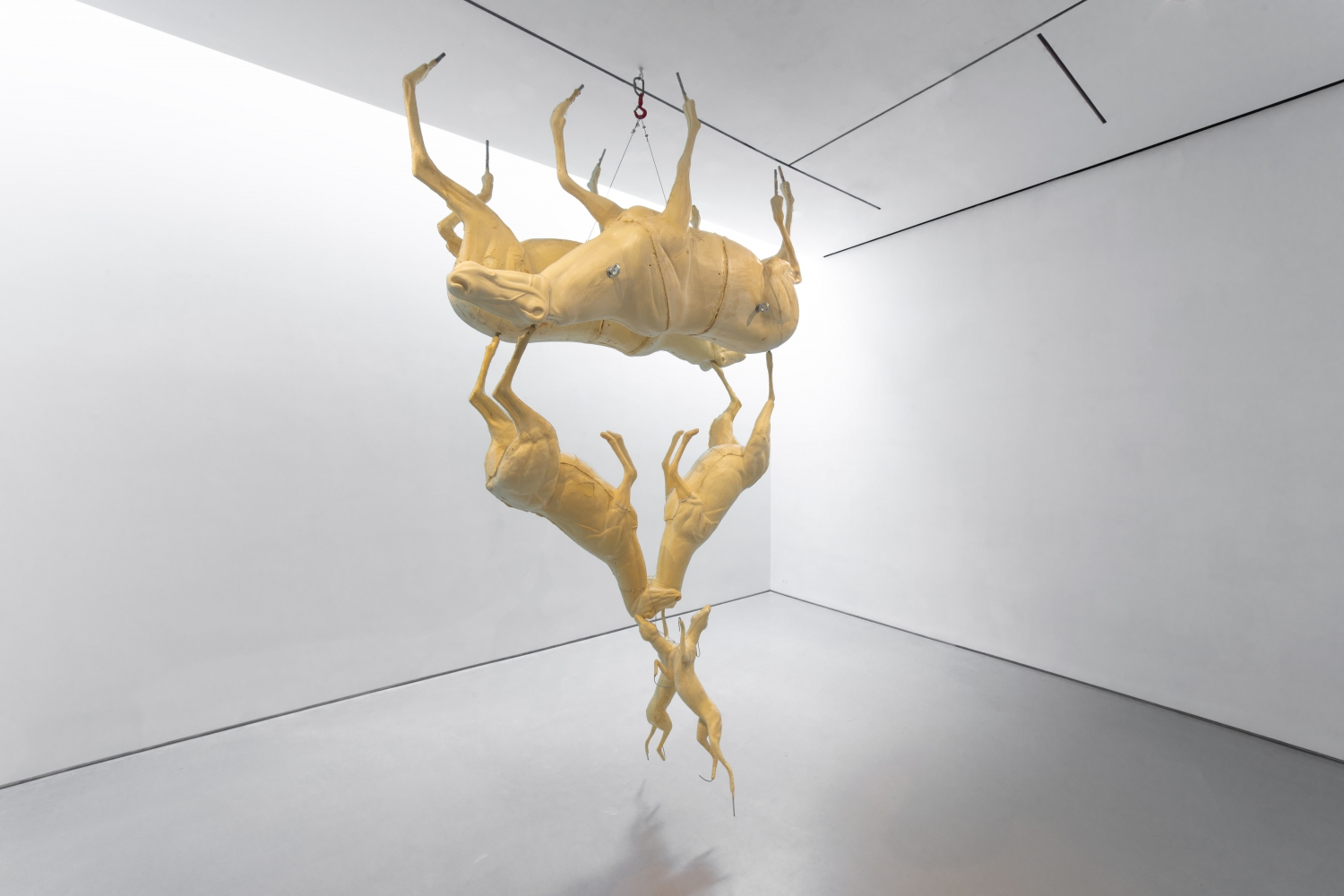hanging sculpture composed of upside down taxidermy forms of caribou, deer and foxes