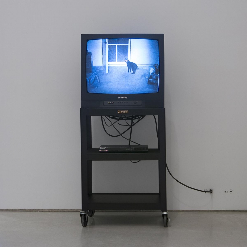 Bruce Nauman Sound for Mapping the Studio Model (The Video), 2001