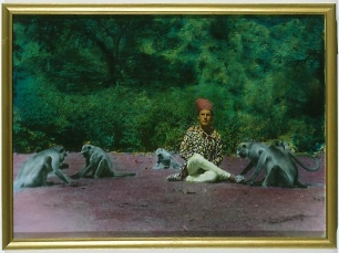 a man sitting on the ground surrounded by monkeys