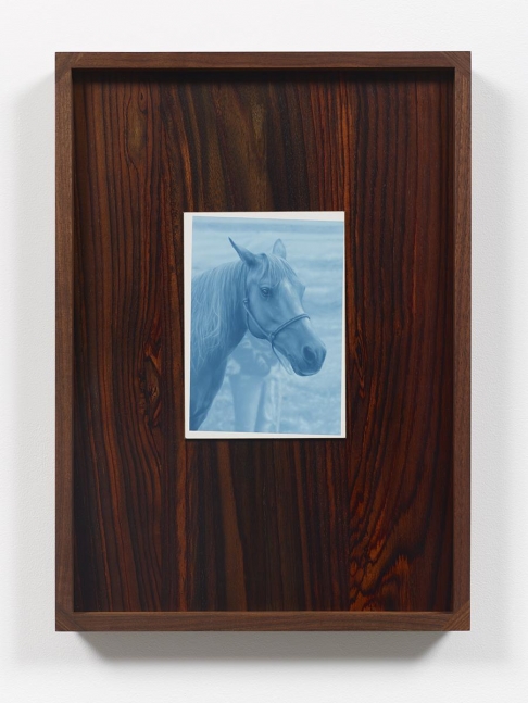 Andrew Sendor
Portrait of Rallis Royce on the northeast wall of Saturday&amp;#39;s living room., 2016
oil on panel, Sonokeling, walnut frame
17 5/8 x 12 5/8 x 1 1/2 inches (45 x 32 x 4 cm)
SW 16188
Private Collection
