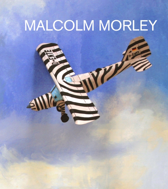 book cover with illustration black and white striped airplane flying against a blue sky with soft clouds below
