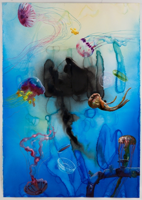 Alexis Rockman Untitled (Jellyfish), 2013