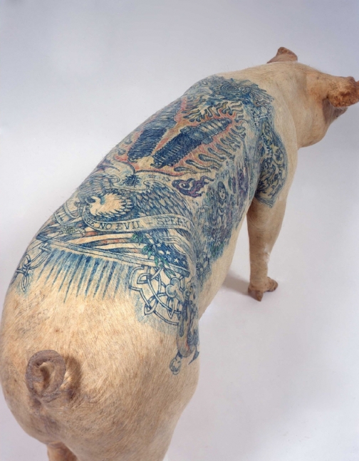 tattooed taxidermy pig