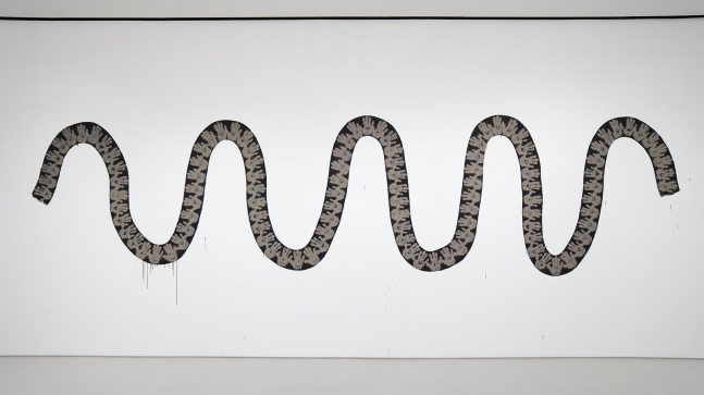 Richard&nbsp;Long Snake, 2020