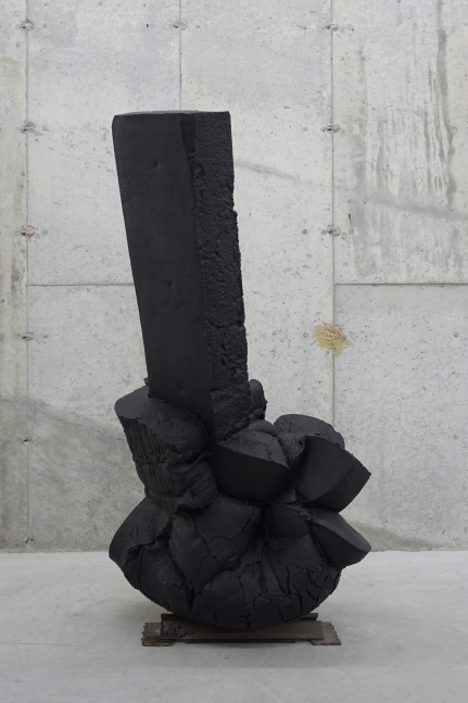 Helmut Lang
Untitled, 2015-2017
enamel, resin, foam and steel&amp;nbsp;
55 x 28 x 18 inches (139,5 x 71 x 45,5 cm)
SW 17088